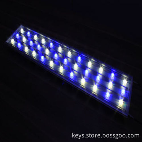 High Power Fish Jar LED Marine Aquarium Light, 15000K LED Aquarium Lighting